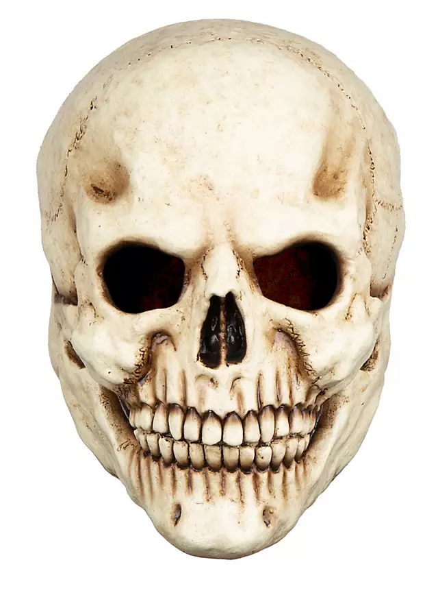 Máscara de calavera de terror hecha de látex